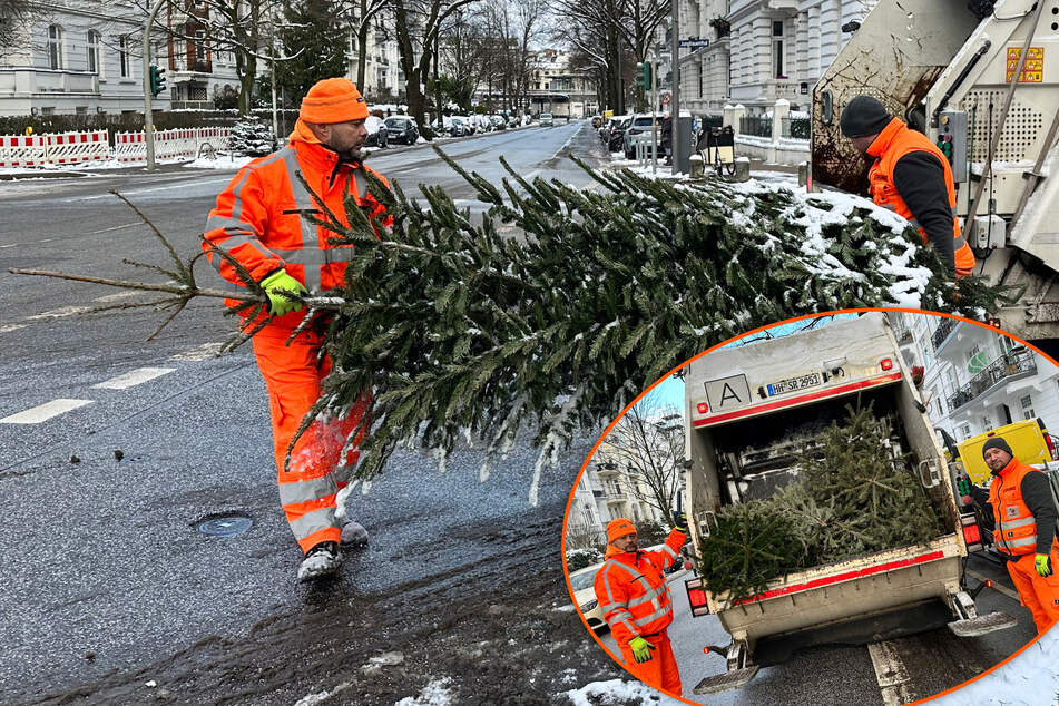 Hamburg: Tschüss Weihnachtsbäume: So entsorgt Ihr Eure Tanne richtig