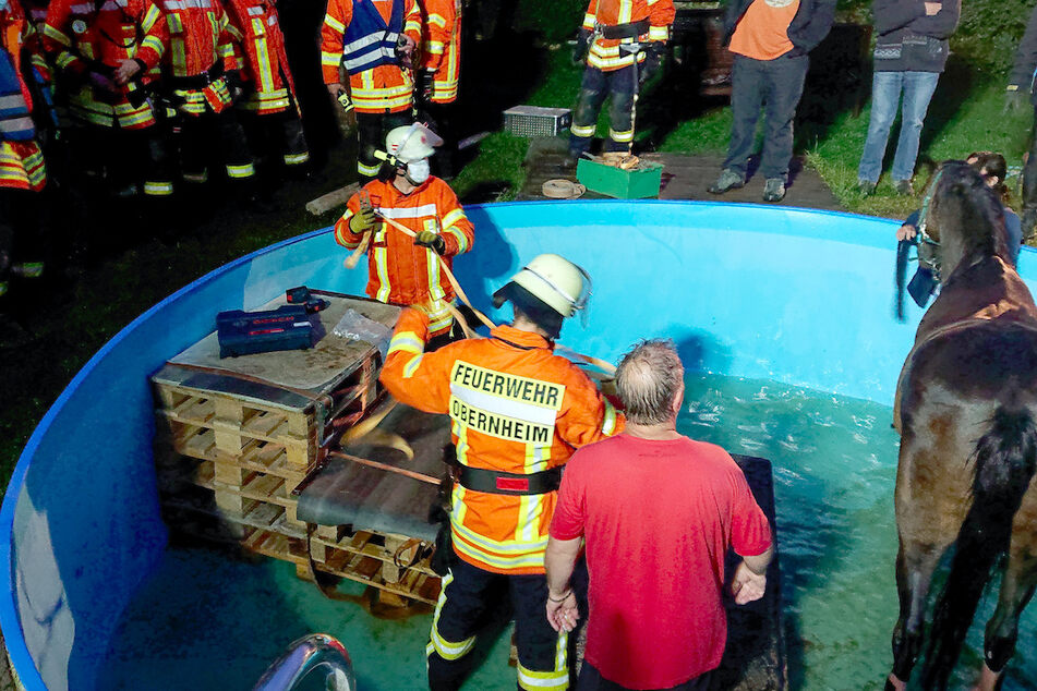 Einsatzkräfte der Feuerwehr kümmern sich 2020 um ein Pferd, das losrannte, mehrere Absperrungen einer Koppel durchbrach und in einem Gartenpool bei Obernheim landete.