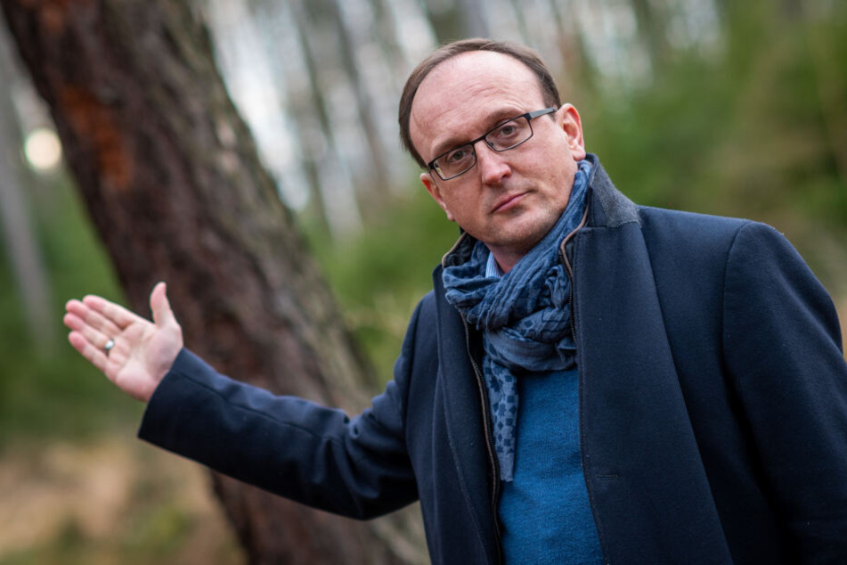 SPD-Stadtrat Jörg Vieweg (48) kritisiert die Fäll-Aktion.
