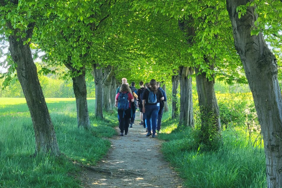 Die Wandergruppen werden nach Altersgruppen gebildet.