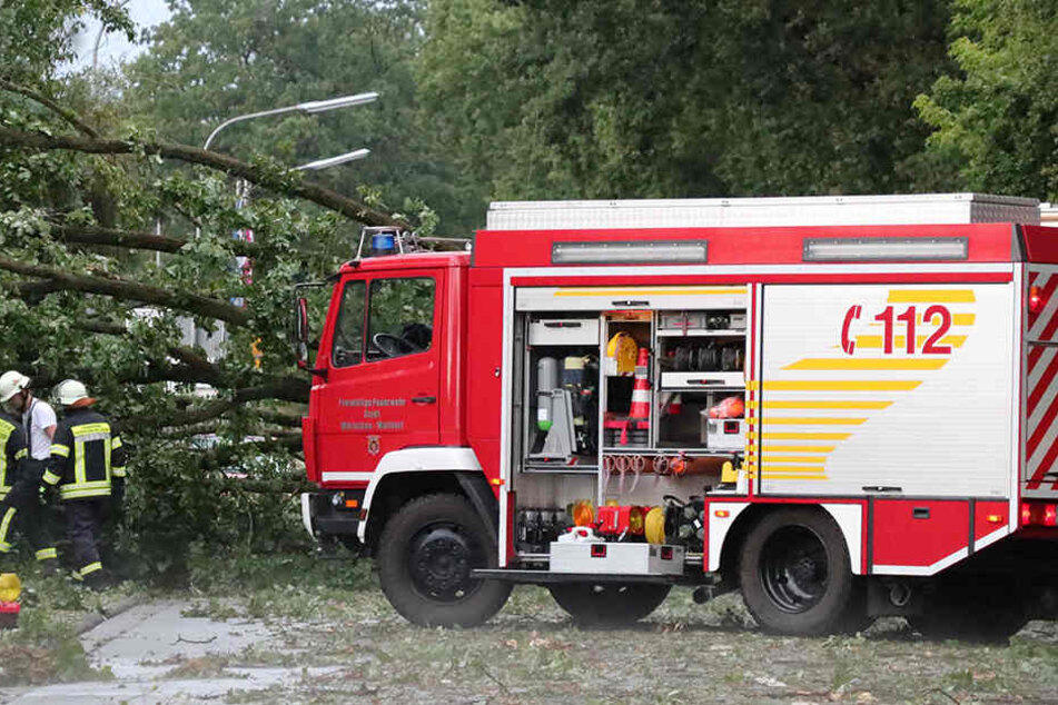 Im Rhein-Main Gebiet gingen am Sonntag heftige Niederschläge nieder. Ein Baumstürzte bei Mörfelden auf die Straße und blockierte die Fahrbahn.