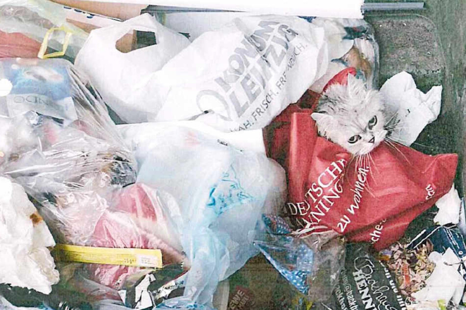 In einen roten Stoffbeutel eingeschnürt fand der 25-Jährige das Tier in einemMüllcontainer.