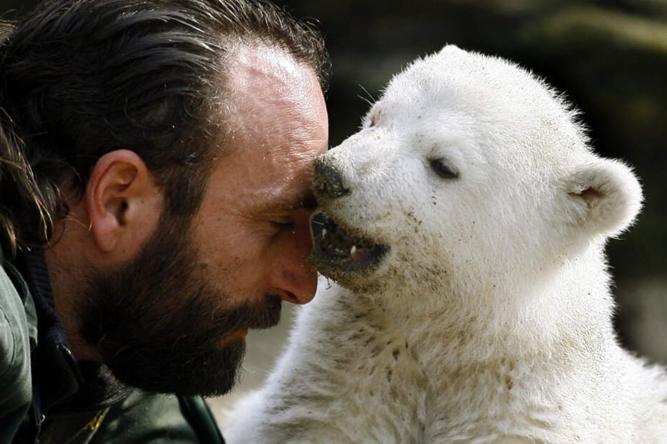 Knut und sein Pfleger - ein Herz und eine Tatze.