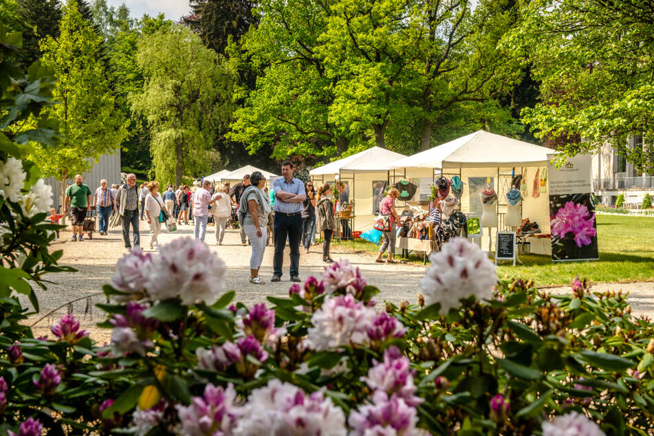 Am 13. und 14. Mai findet das 4. Rhododendronfest in Bad Elster statt.
