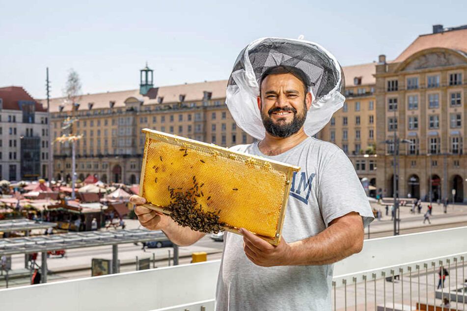 Aofok Nukhailawi (42) auf dem Balkon des Kulturpalastes mit einer Wabe.