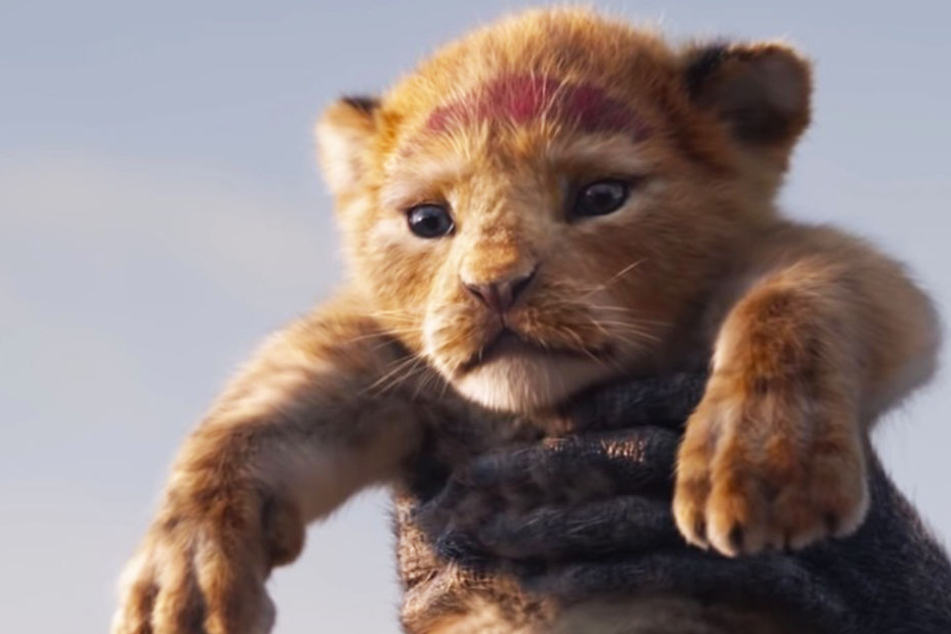 Lebensecht: Löwenjunges Simba in den Armen von Rafiki.
