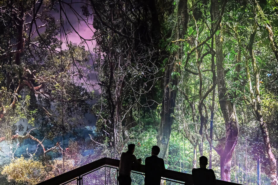 Seit Dezember 2024 können Besucherinnen und Besucher den Regenwald im Gasometer in Pforzheim bewundern. (Archivbild)