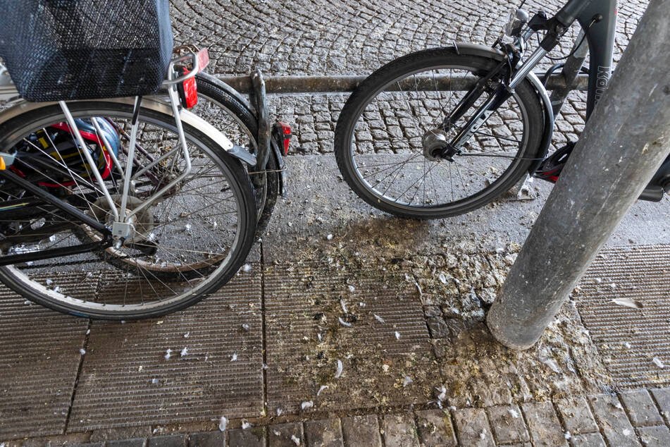Auch rund um die Fahrräder am Dresdner Hauptbahnhof bilden sich dreckige Stellen.