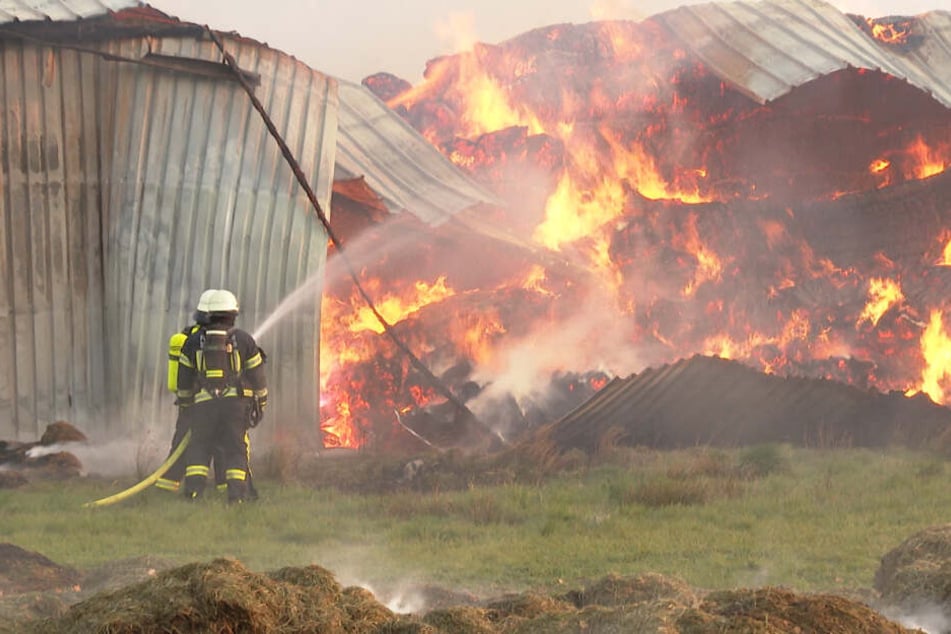 Feuerwehrleute kämpfen gegen das meterhohe Feuer.