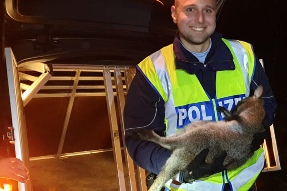 Ein Polizist mit dem erfolgreich gefangenen Känguru.
