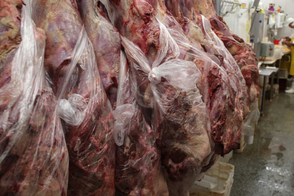 In mindestens 21 Firmen stellten die Behörden Gammelfleisch fest.