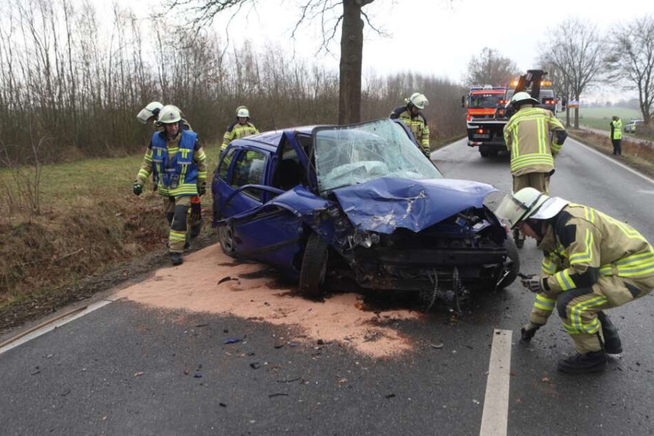 Das Auto krachte gegen einen Baum.