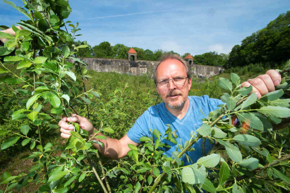 Mario Gauss (52) hofft, dass bald wieder Wasser die Talsperre Euba füllt.