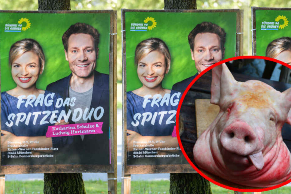 Widerliche Einschüchterung: Unbekannte legen Schweinekopf vor Grünen-Agentur