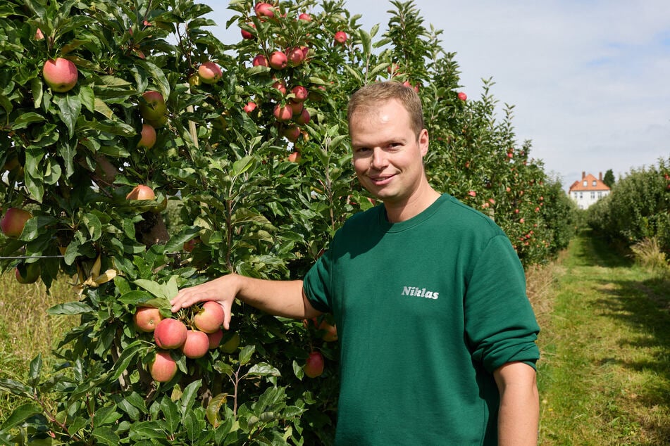 Obstbauer Niklas Eckhoff.