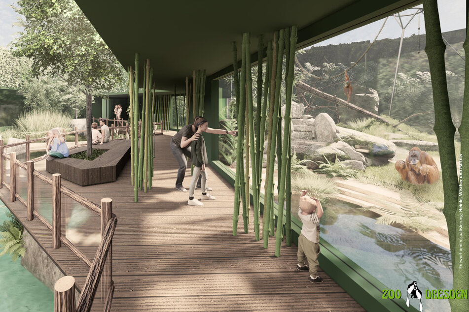 Der Zoo-Rundweg führt künftig mitten durch das Affenhaus.