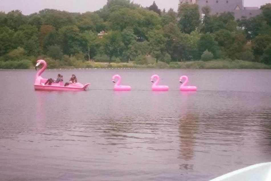 Diese niedliche Flamingofamilie mit Tretboot-Mama und aufblasbaren Flamingo-Küken sorgte für Verblüffung am Schlossteich.