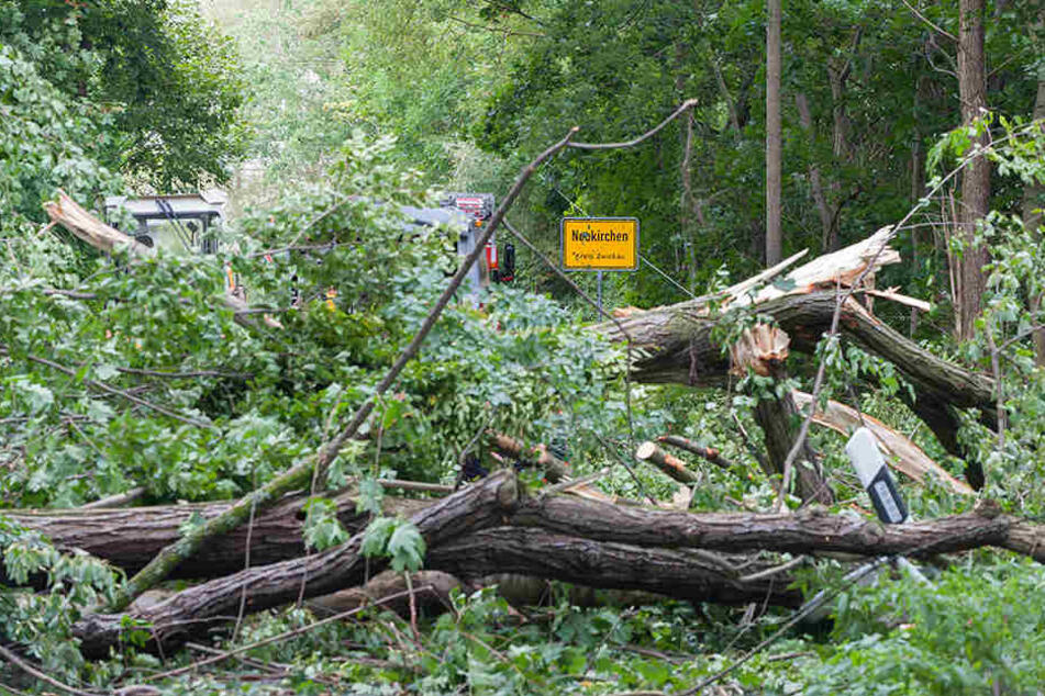 Rund um Neukirchen/Pleiße blockierten umgestürzte Bäume die Straßen.