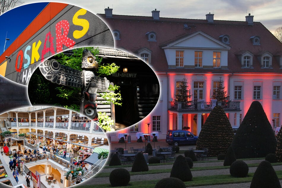 Dresden: 8 Tipps für Euren Samstag: Das könnt Ihr in und um Dresden erleben