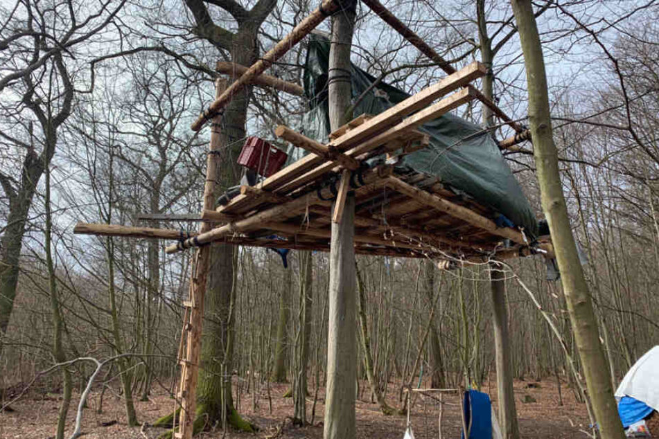 Die Bäume und Stämme könnten für Baumhütten der Aktivisten im Hambacher Wald verwendet worden sein.