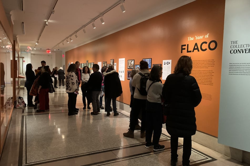 This small fourth-floor exhibition packs a big punch – members of the local community worked together to collect and document the memory of Flaco, a Eurasian eagle-owl who escaped Central Park Zoo.