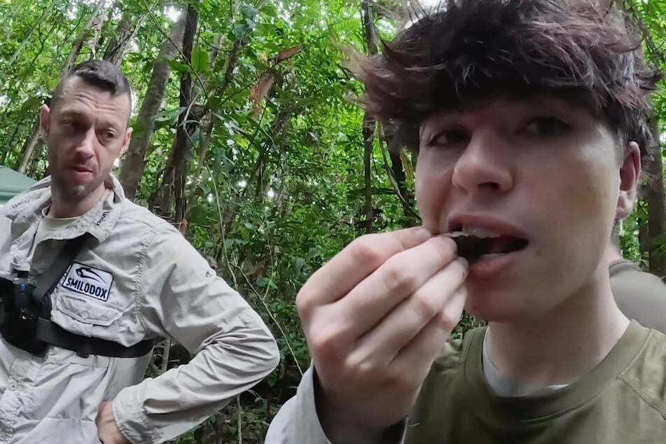Aus Mangel an Nahrungsalternativen mussten die Teilnehmer immer wieder auf Baumfasern zurückgreifen.