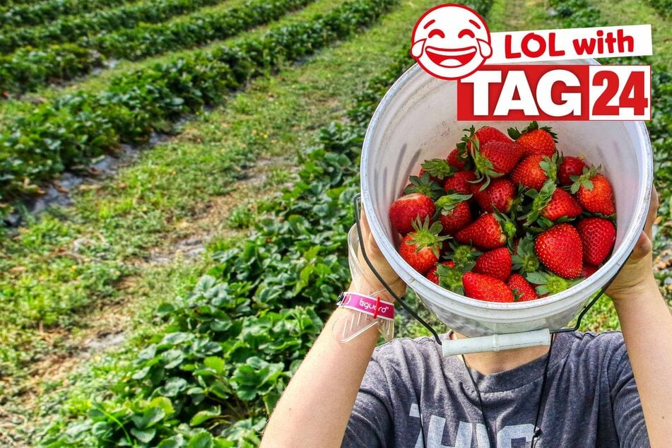 Joke of the Night for March 26, 2026: A fruity funny