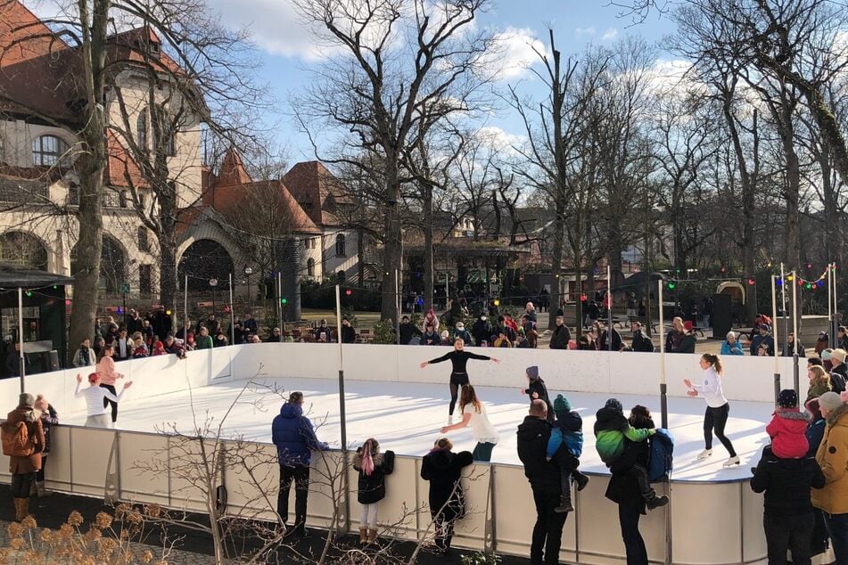 Im Zoo Leipzig begeistert derzeit die Schlittschuhbahn vor dem Restaurant Palmensaal.