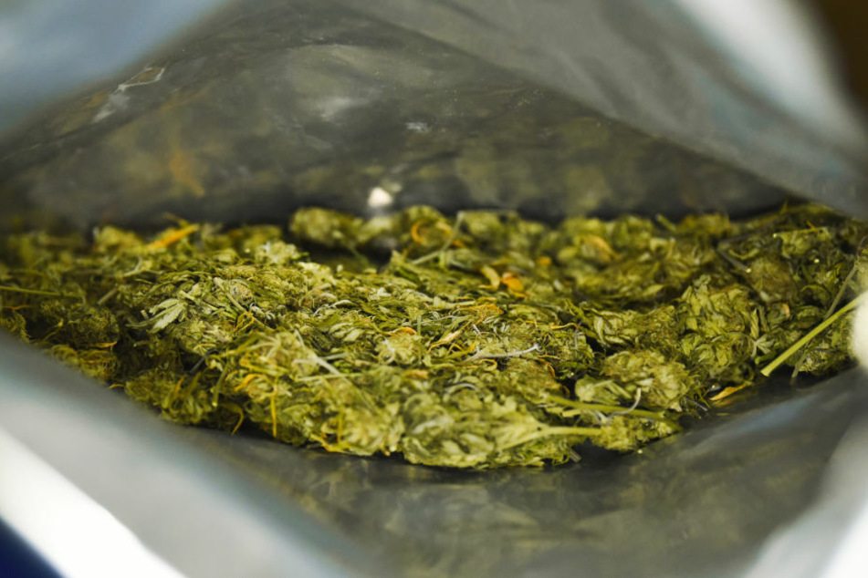 Durch den Zufallsfund einer Mitarbeiterin wurden in einem Paketverteilerzentrum in Strausberg insgesamt 64 Kilogramm Marihuana vom Zoll beschlagnahmt.