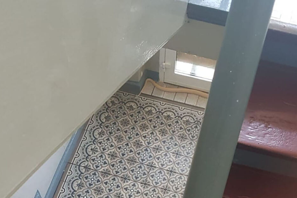 Das Bild vom 25. August, welches ein ganzes Haus in Aufruhr versetzte.