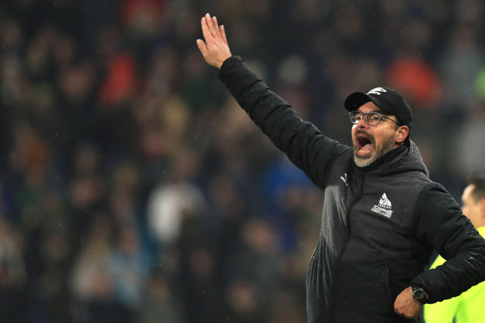 David Wagner (47) wurde im Januar 2019 als Trainer beim englischen Erstligisten Huddersfield entlassen.