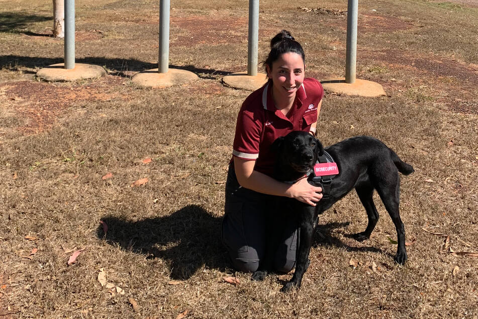 A security dog named Zinta operates as a frontline biosecurity defense at Darwin Airport.