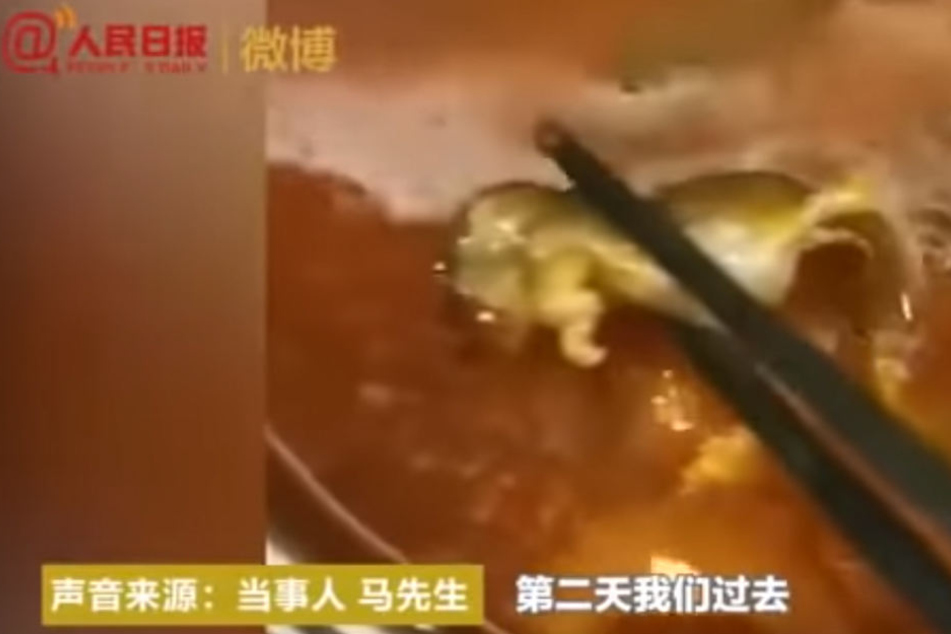 Ekel-Alarm im Restaurant: Schwangere findet tote Ratte in ihrer Suppe