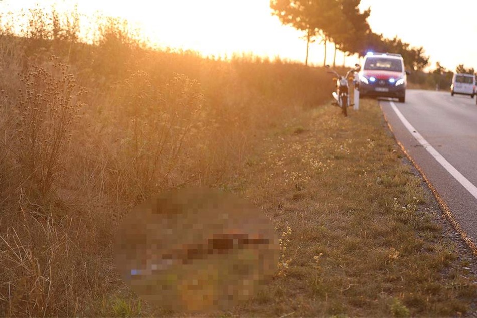Das Wildschwein erlag seinen Verletzungen.