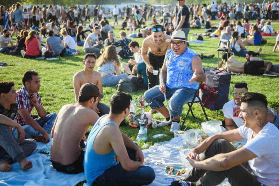 Eine Gruppe Berliner sitzt bei strahlendem Sonnenschein auf Decken auf einer Wiese im Mauerpark und unterhalten sich.