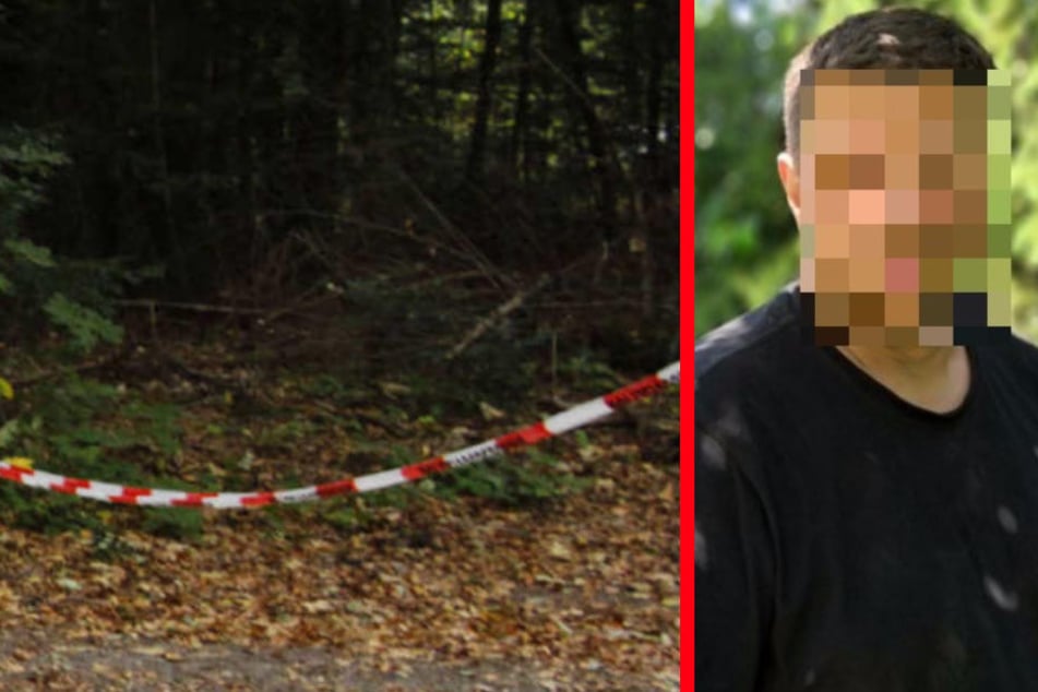 An diesem Waldstück fand man wohl die Leiche des Jägers. (Fotomontage)