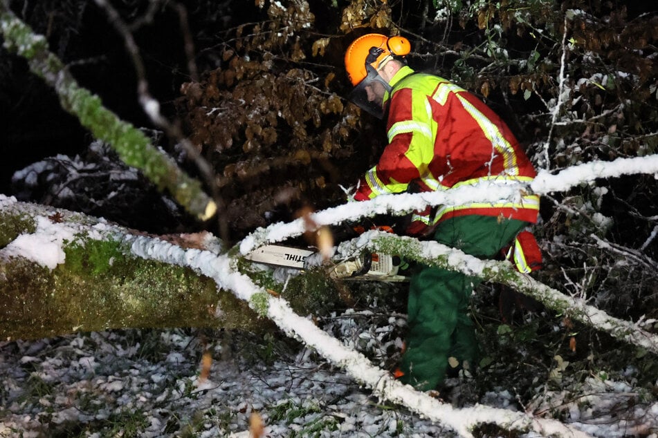 Im Hochschwarzwald ist es in der Nacht zudem zu mehreren Einsätzen wegen umgestürzter Bäume gekommen. (Symbolbild)