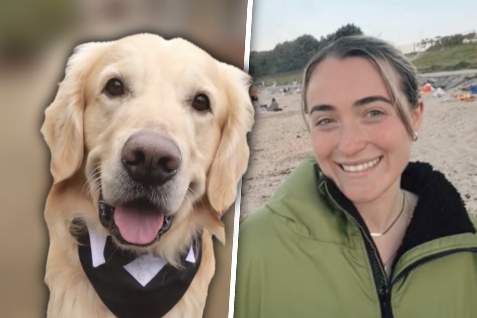 Woman drops out of university shortly before completing her doctorate: what she does next is really daring