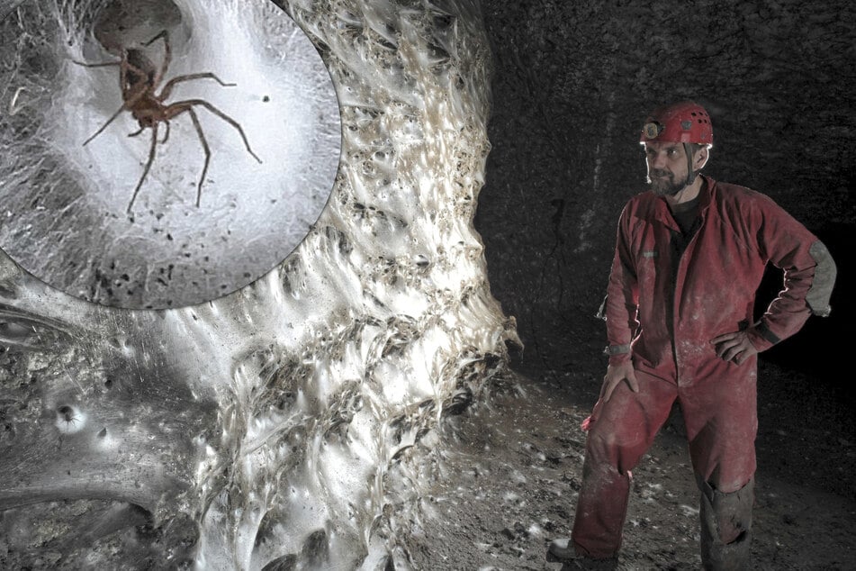 Největší pavučina na světě? Vědci učinili spektakulární objev v jeskyni