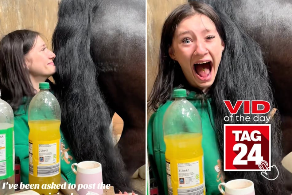viral videos: Viral Video of the Day for August 31, 2025: Hilarious horse fart has TikTokers in tears of laughter
