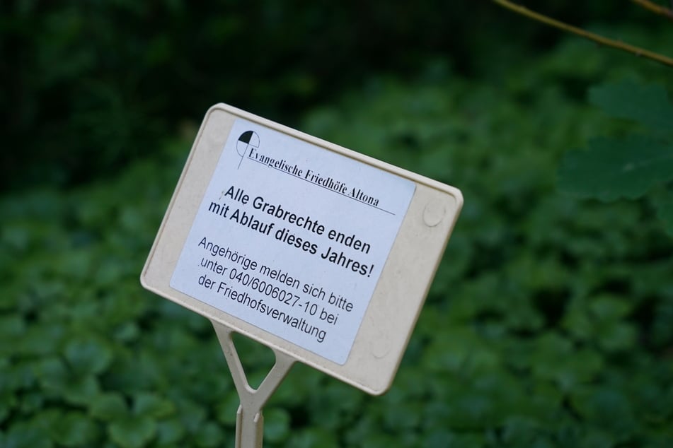 Schilder verweisen auf dem Friedhof Bornkamp in Hamburg-Altona auf die Schließung Ende des Jahres.