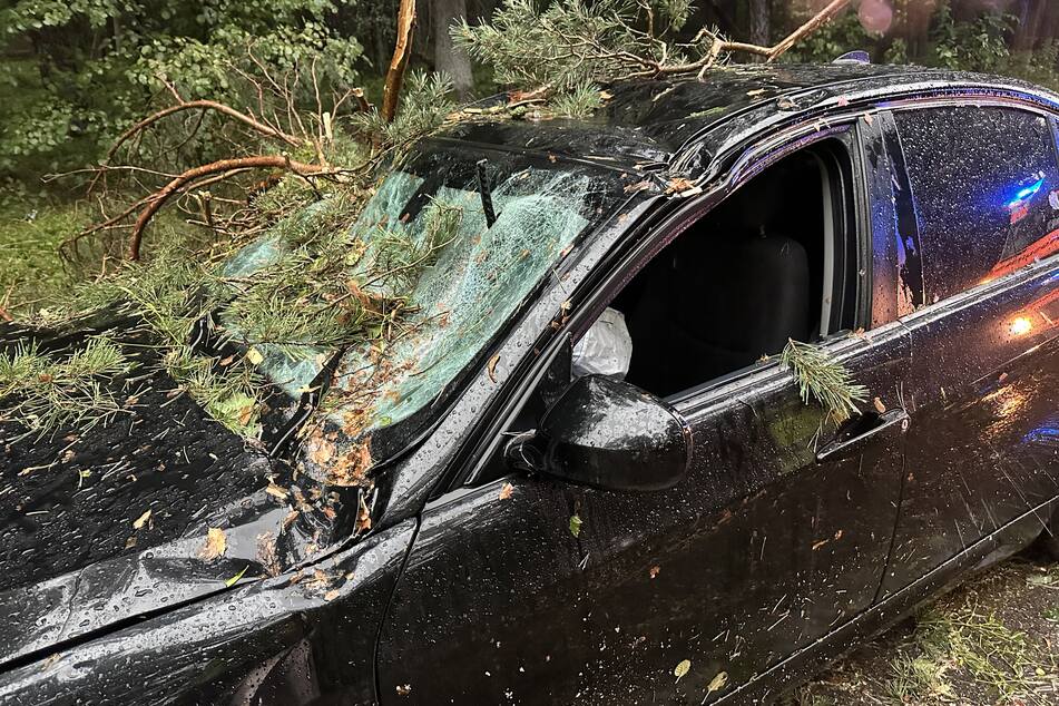 Ein Auto bei Ramsberg wurde von zahlreichen umher wirbelnden Ästen durchbohrt.