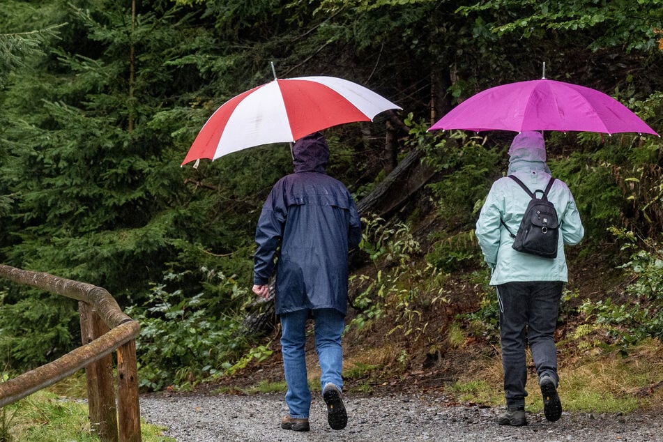 Regen und Schnee: Ungewöhnlich viel Niederschlag in Bayern