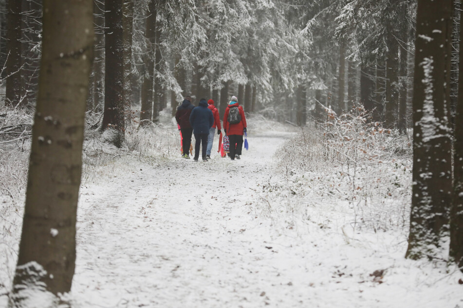 Wanderer laufen entlang des Rennsteiges durch den schneebedeckten Thüringer Wald. Auch an diesem Wochenende hat es wieder zahlreiche Menschen in die Winterlandschaften des Freistaates gelockt. (Archivbild)