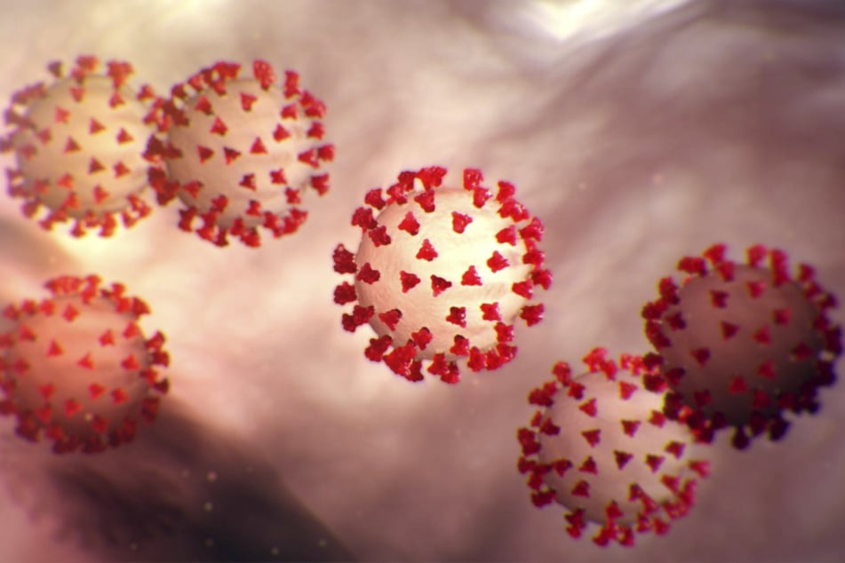 Diese vom Center for Disease Control and Prevention (CDC) erstellte Illustration zeigt den neuartigen Coronavirus 2019-nCoV.