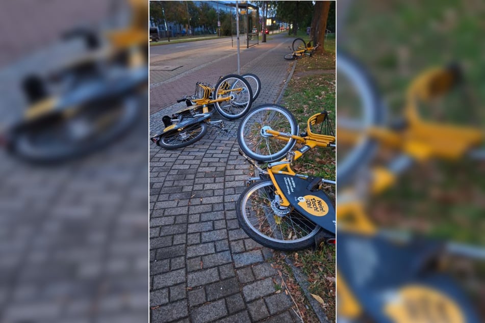 Die Anwohner nervt es, die Gehwege in der Umgebung immer wieder so sehen zu müssen.