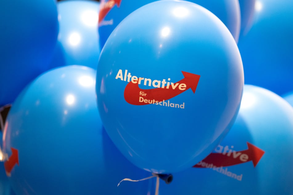 Die AfD liegt im neuen "Trendbarometer" an der Spitze. (Symbolfoto)