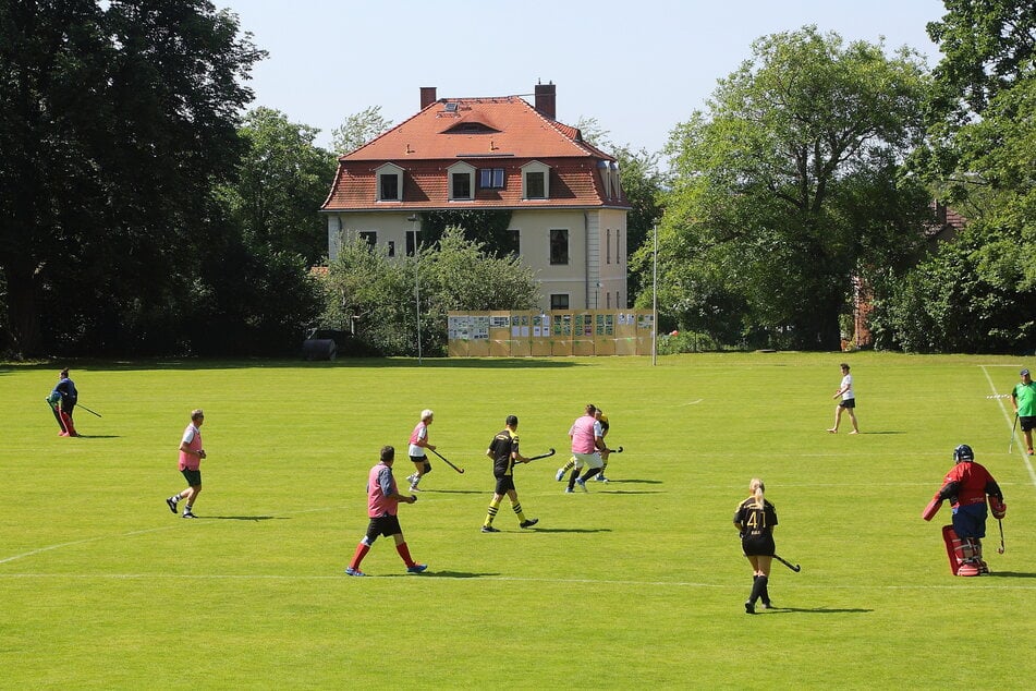 In Pillnitz lässt sich wunderbar Hockey spielen - doch ab und zu wird das Wohnhaus im Hintergrund zur Zielscheibe.