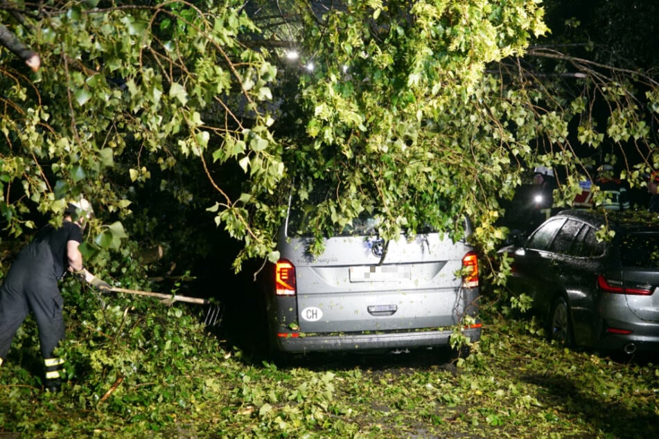 Der VW-Bus wurde vollständig unter dem umgestürzten Baum begraben. Die Feuerwehr musste die Insassen befreien.