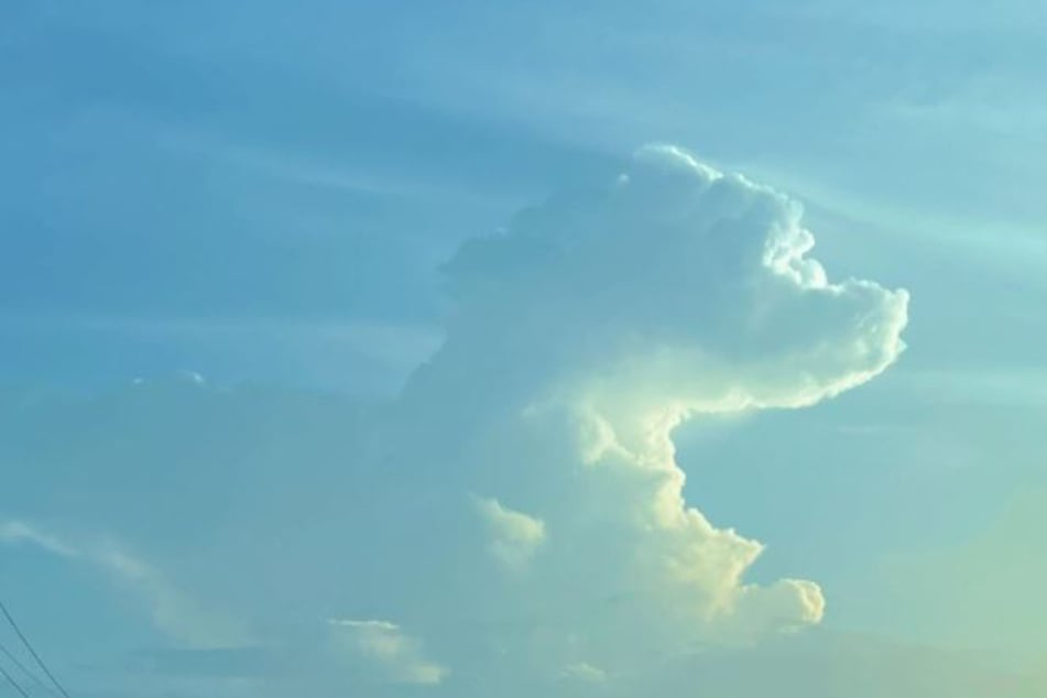 In dieser Wolke erkannte Brown die Silhouette ihrer Hündin Roxy.